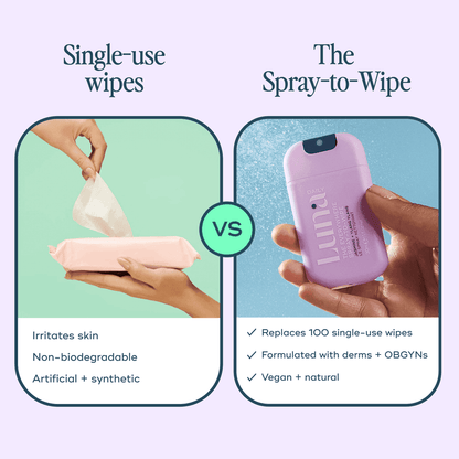 The Everywhere Spray-to-Wipe - Holiday Trio Kit