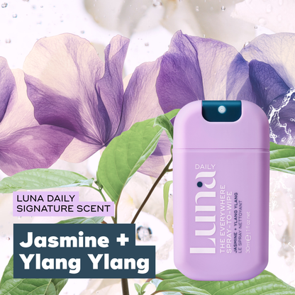 The Everywhere Spray-to-Wipe - Holiday Trio Kit