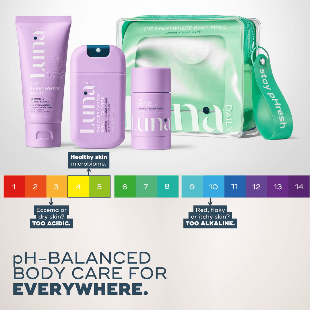 The Everywhere Spray-to-Wipe - Holiday Trio Kit