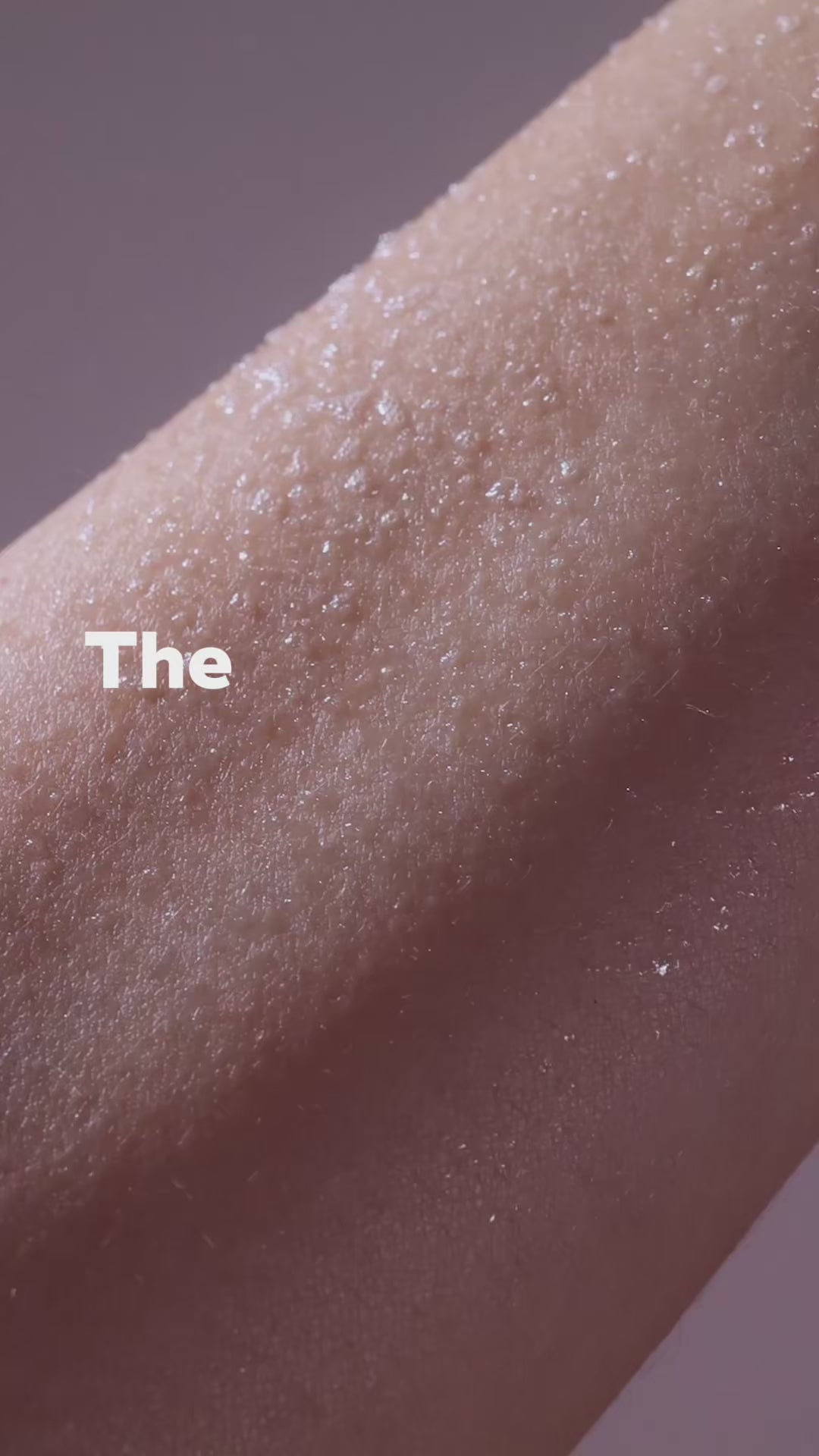 US The Spray-to-Wipe Discovery Set - The Cleanse Collective
